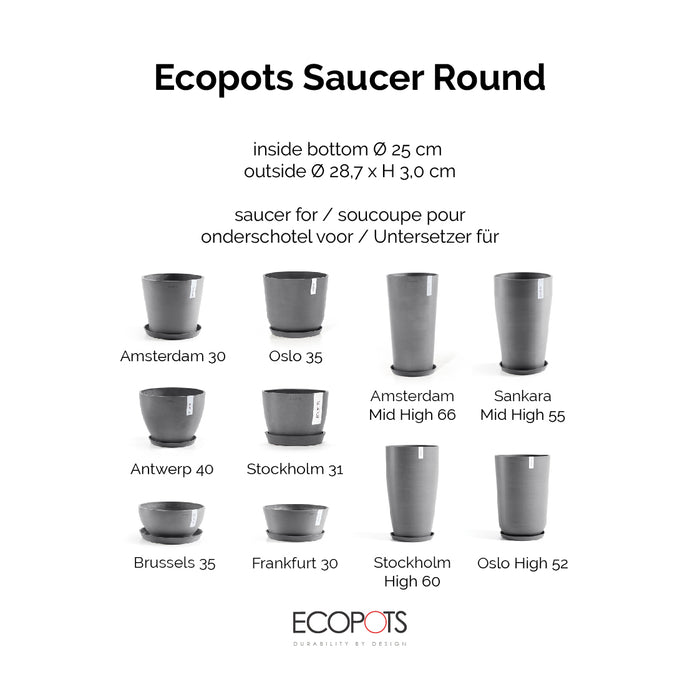 15ef43a4-d2f3-45d0-b027-9d943b6c0606-afbeelding4.jpg (8090524)