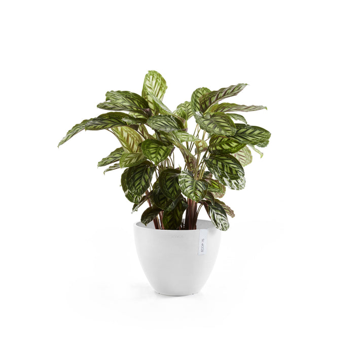 Ecopots Antwerp 40 Pure White