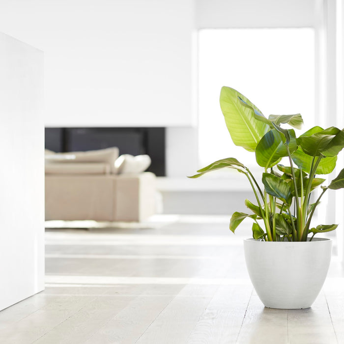 Ecopots Antwerp 40 Pure White