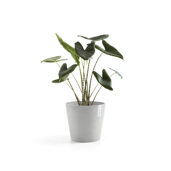 Ecopots Amsterdam 25 White Grey
