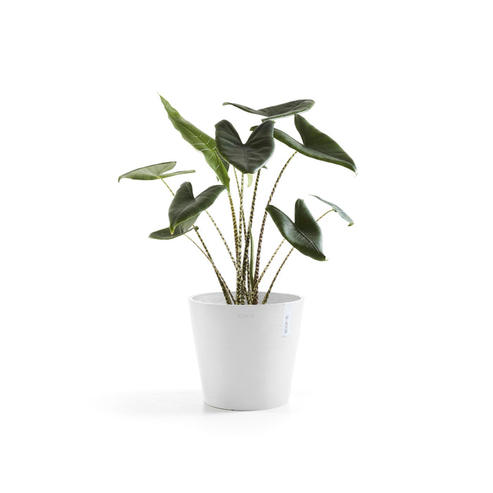 Ecopots Amsterdam 30 Pure White
