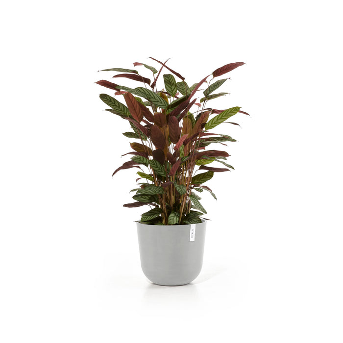 Ecopots Oslo 35 White Grey