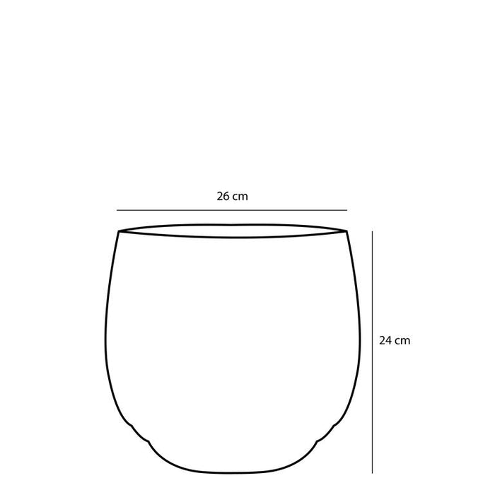 ad3ddd25-bdf6-4083-a486-51697a0fab62-afbeelding3.jpg (8103132)