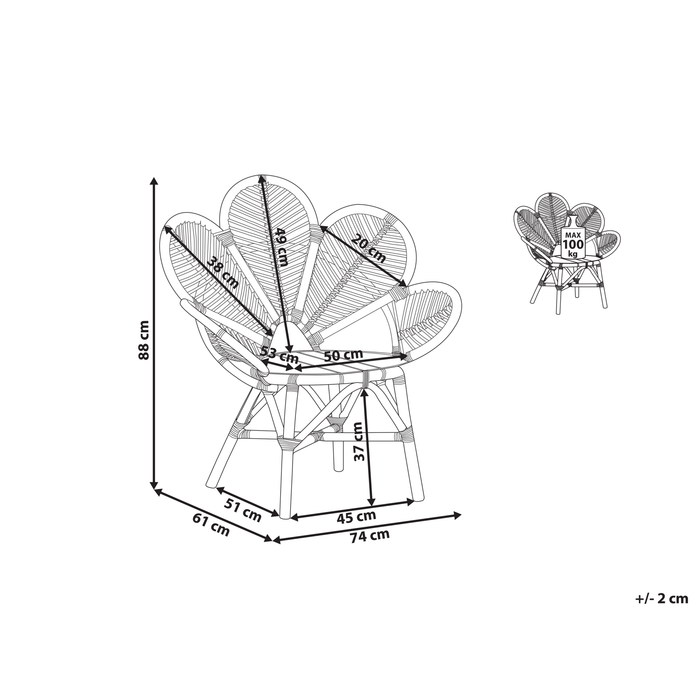 Beliani - FLORENTINE II - Fauteuil - Natuurlijk - Rotan