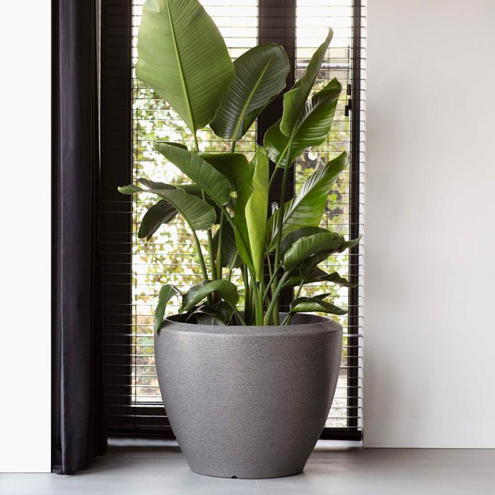 Capi Europe Arc Granite Bloempot Ø 60 cm - Antraciet