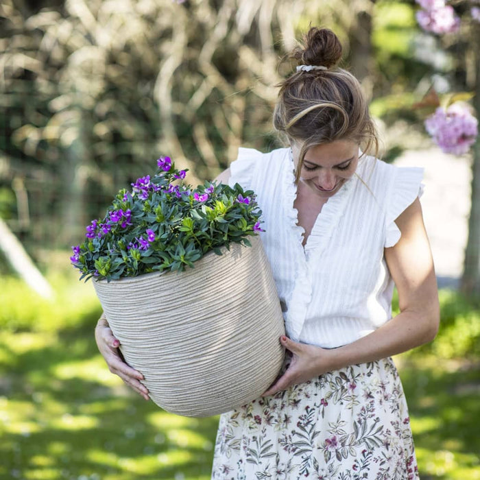 99102f63-827d-4ac0-8267-f0cfe77f7c03-afbeelding5.jpg (8137181)