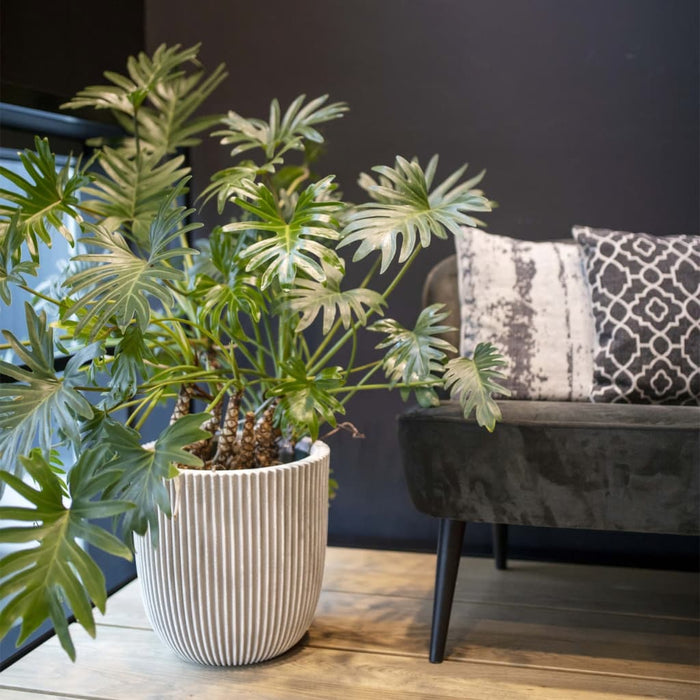 1739600c-6be7-4f7b-8429-d91df8e73da2-sfeerbeeld.jpg (8137188)