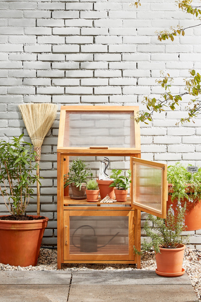 Mica Decorations Caminia Kweekkas M - L60 x B42 x H115 cm- Mahoniehout