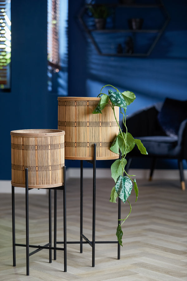 465bc97f-f004-4880-a7ff-14c8302756c3-afbeelding7.jpg (8211665)