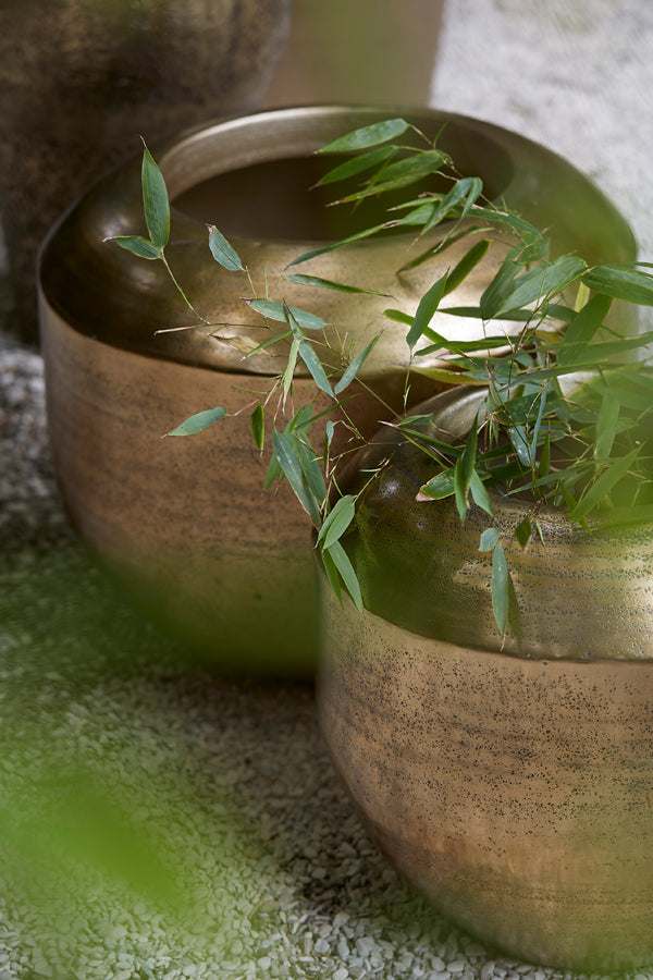 6e052434-baf4-493b-af7f-b785d3d3a8a0-afbeelding7.jpg (8221713)