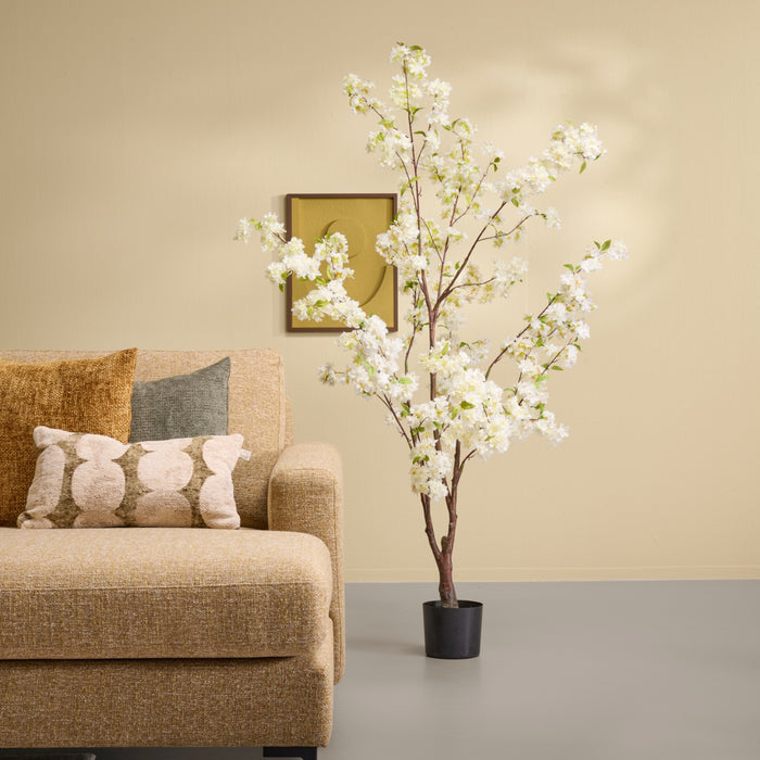 c7fc79e4-025d-4388-906e-9aa43fcb4920-afbeelding4.jpg (8227685)