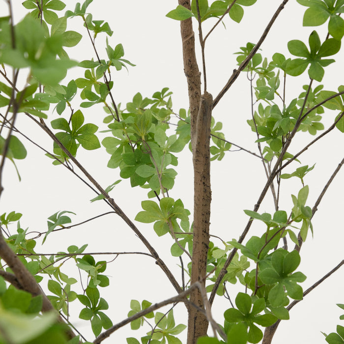 Kave Home - Enkianthus-kunstboom met zwarte pot 214 cm