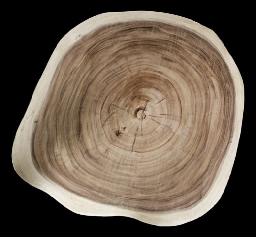 8b408211-ae44-4b0a-9f99-25ebf981bd66-afbeelding10.jpg (8284569)