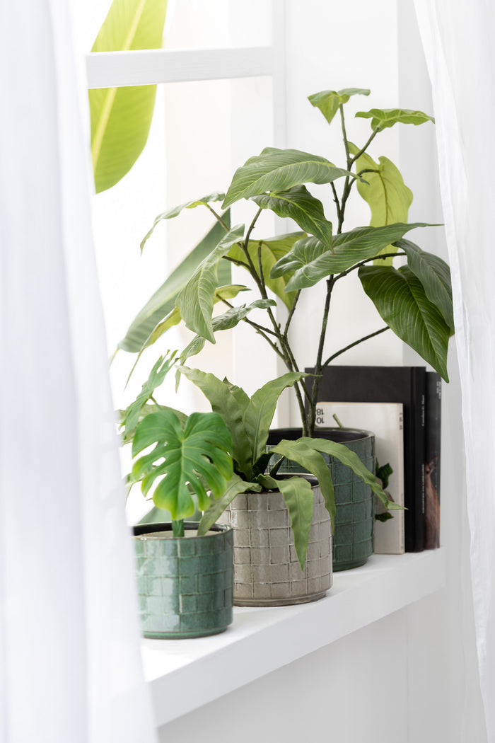 dae4501b-1d4a-4f7d-ae83-ccb6599ce222-sfeerbeeld.jpg (8298832)