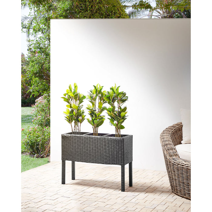 Beliani - CARAGANA - Hoge plantenbak - Zwart - PE rotan