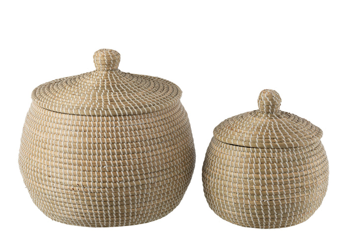 dc26dd0e-4159-4cd5-b724-c31717b977db-afbeelding4.jpg (8336950)