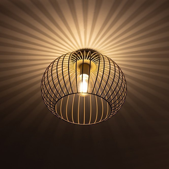 8501c341-6f52-4887-9904-f9e9a8b32859-afbeelding3.jpg (8391163)