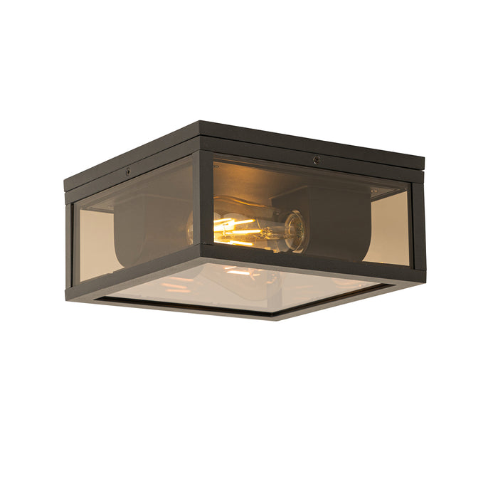 QAZQA Plafondlamp zwart met smoke glas 2-lichts IP44 - Charlois