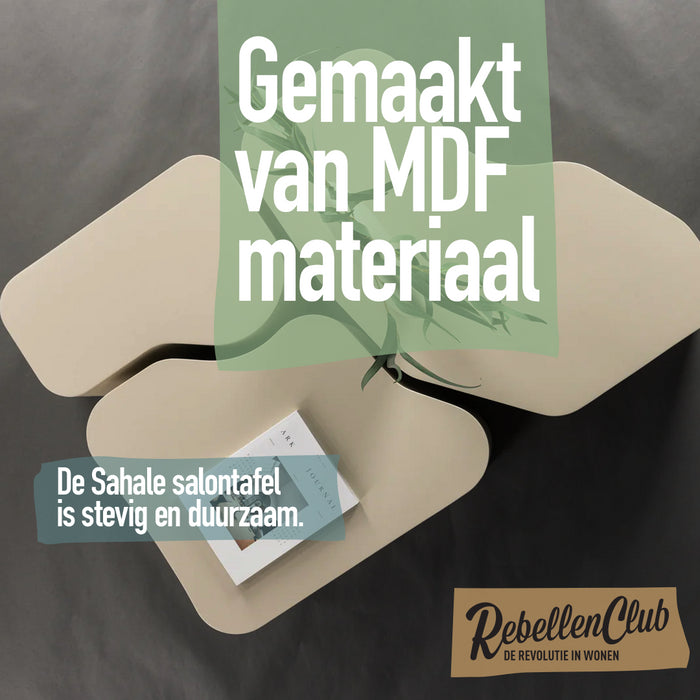 86666dee-407b-4ad7-adbf-e716e7839534-afbeelding5.jpg (8420175)