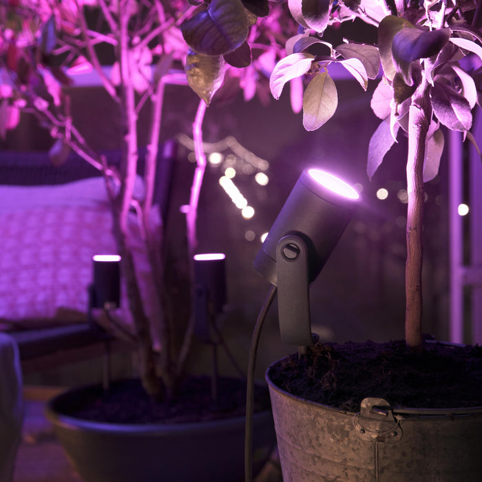 Philips Hue Lily Tuinspot Starterspakket White and Color Ambiance