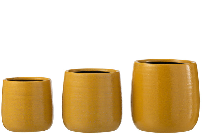 2c752864-c8ab-498f-86eb-549a8c13f622-afbeelding3.jpg (8479120)