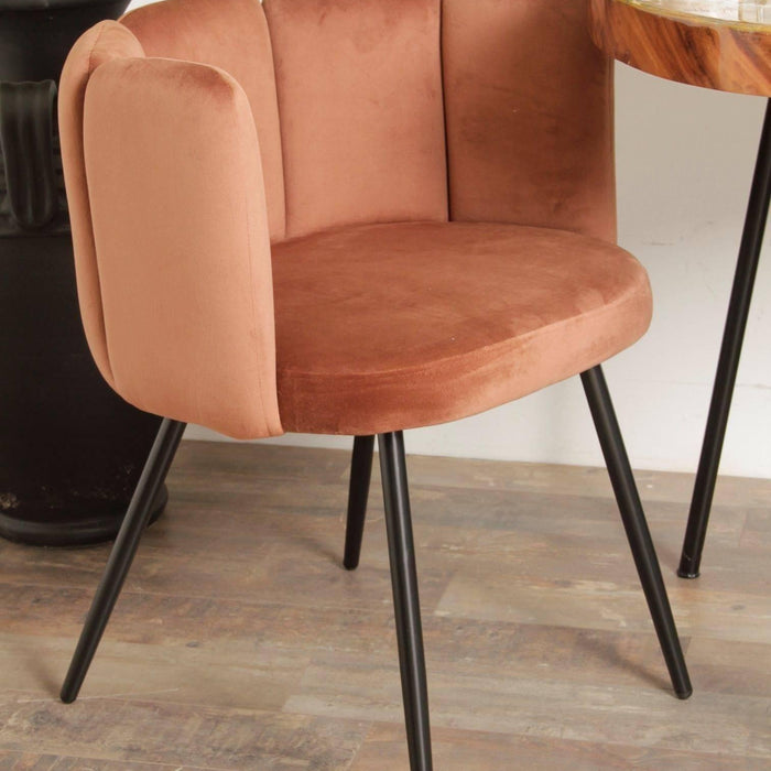 83b00f88-8b30-45d2-82a5-fc1a0f0041b6-afbeelding10.jpg (8643701)