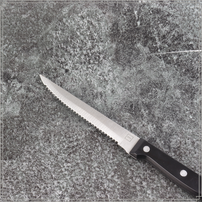 Orange85 Steakmessen set 6 delig