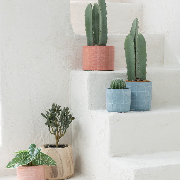 J-Line plant Anthurium|Olifantsoor In Pot - kunststof - groe