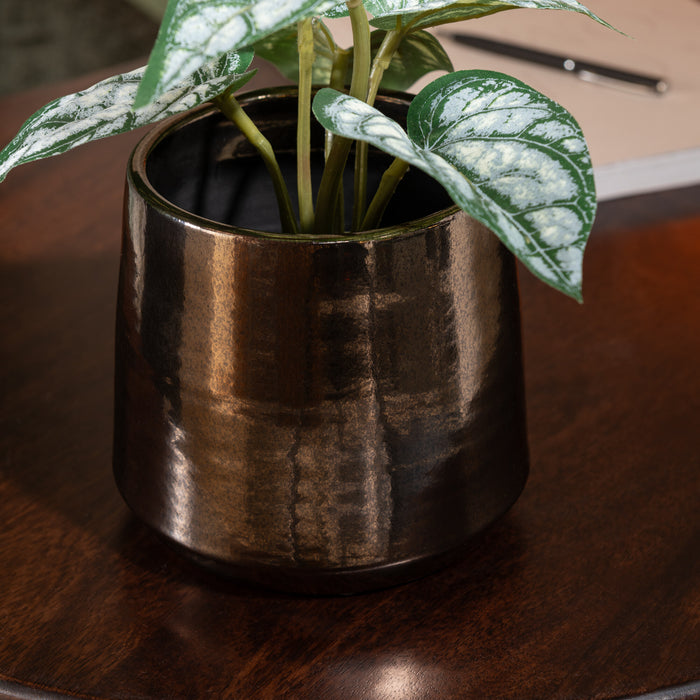 J-Line plant Anthurium|Olifantsoor In Pot - kunststof - groe