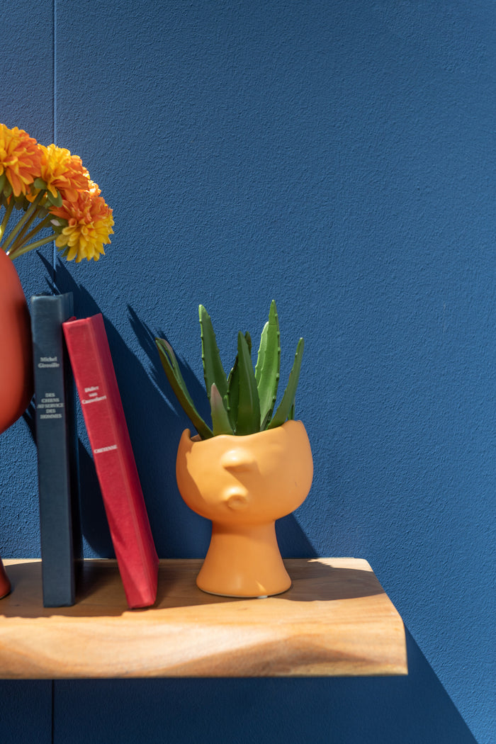 15f564eb-a15b-4f34-a3d5-feb8eb640260-sfeerbeeld.jpg (8867065)