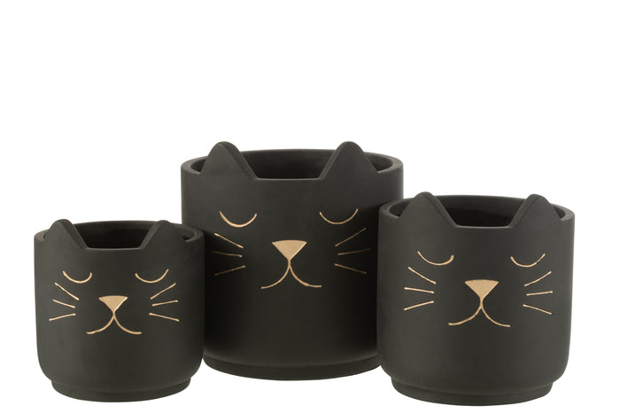 0afcba61-63b1-4e61-9130-549332f53c63-sfeerbeeld.jpg (8867069)