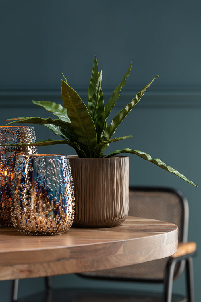 afa4fcd3-2213-4901-8955-5a871c6dc4eb-afbeelding4.jpg (8867118)