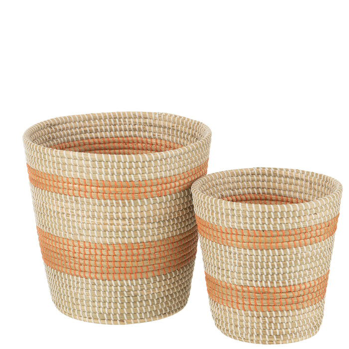 3cdef9b2-5b85-40ef-9997-d5d7a51712ff-afbeelding3.jpg (8869524)