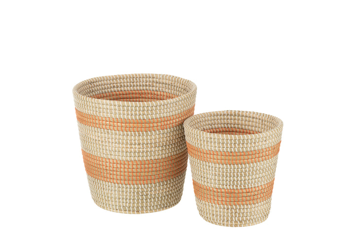 3cdef9b2-5b85-40ef-9997-d5d7a51712ff-afbeelding3.jpg (8869524)