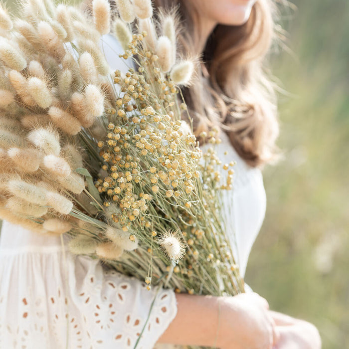 J-Line droogbloemen Hazenstaart - droog bundel pluim - naturel