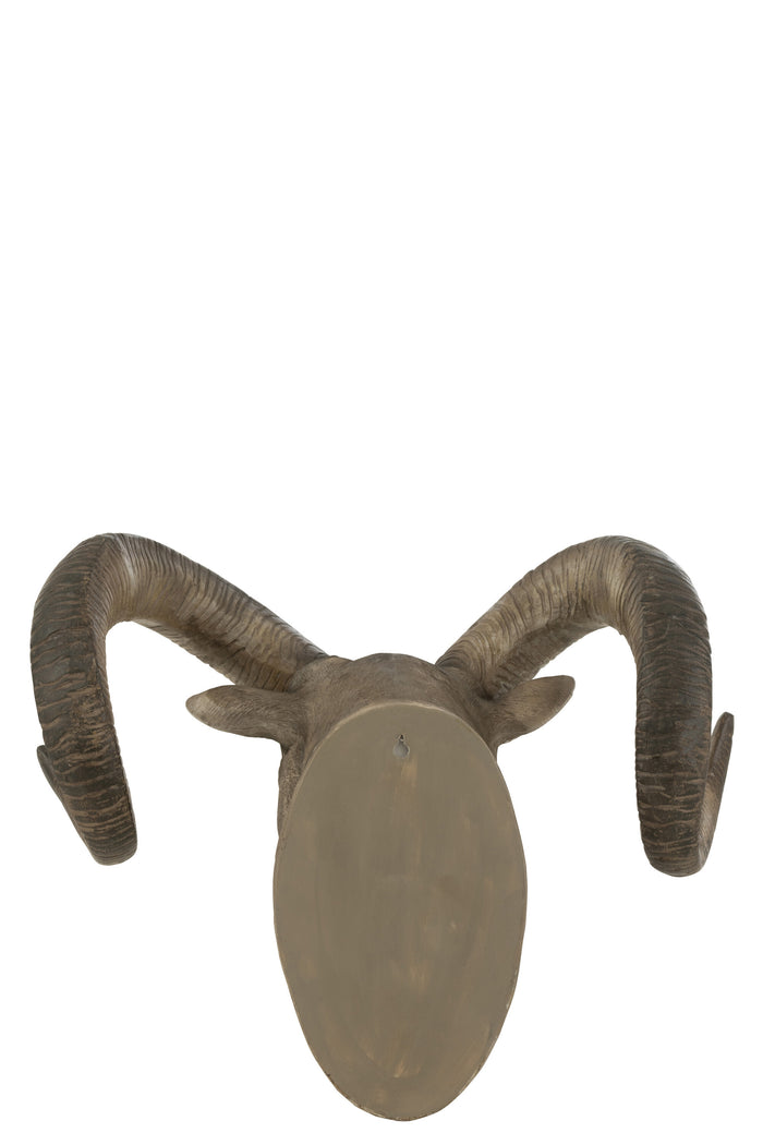 b126e22c-f0d0-48a3-bf0b-cf1e8b384a3c-afbeelding3.jpg (8883202)