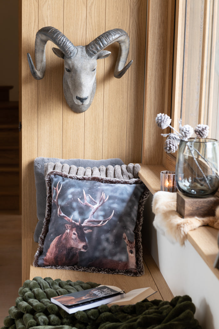 b126e22c-f0d0-48a3-bf0b-cf1e8b384a3c-afbeelding4.jpg (8883203)