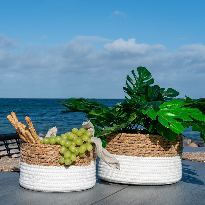 e63e330c-1f26-4d32-bc6d-a9d9e2f31e7c-afbeelding5.jpg (8942950)