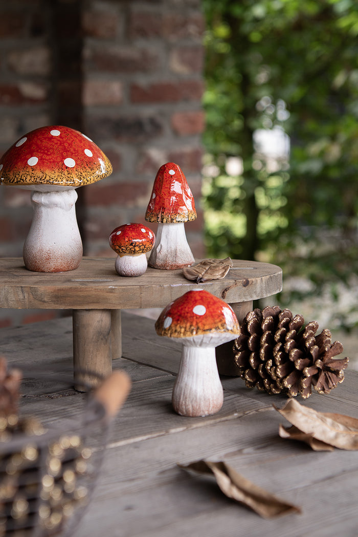 36e0ef19-3233-4c60-bf6a-75a2560d7488-afbeelding12.jpg (8944193)