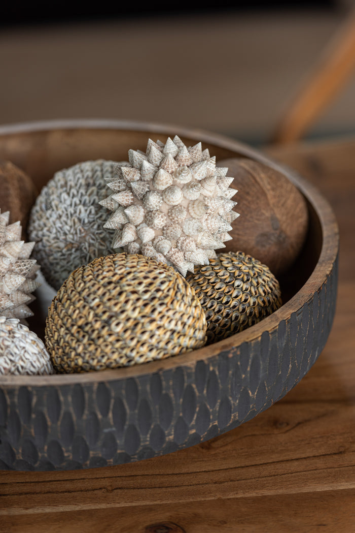 J-Line decoratie Bol Schelpen Noa - steen - naturel - large