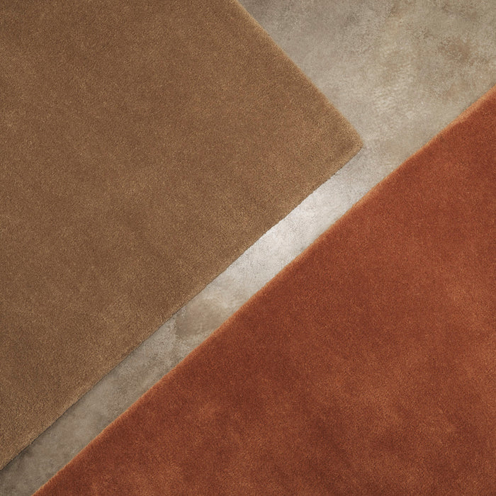 324694-x01-202408290022-A.jpg (8975027)