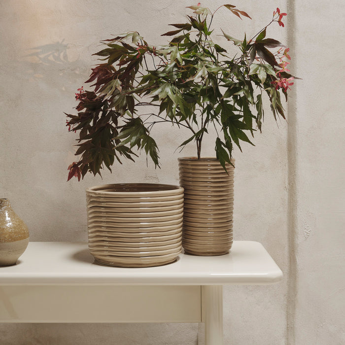 324725-x01-202408290023-A.jpg (8975113)