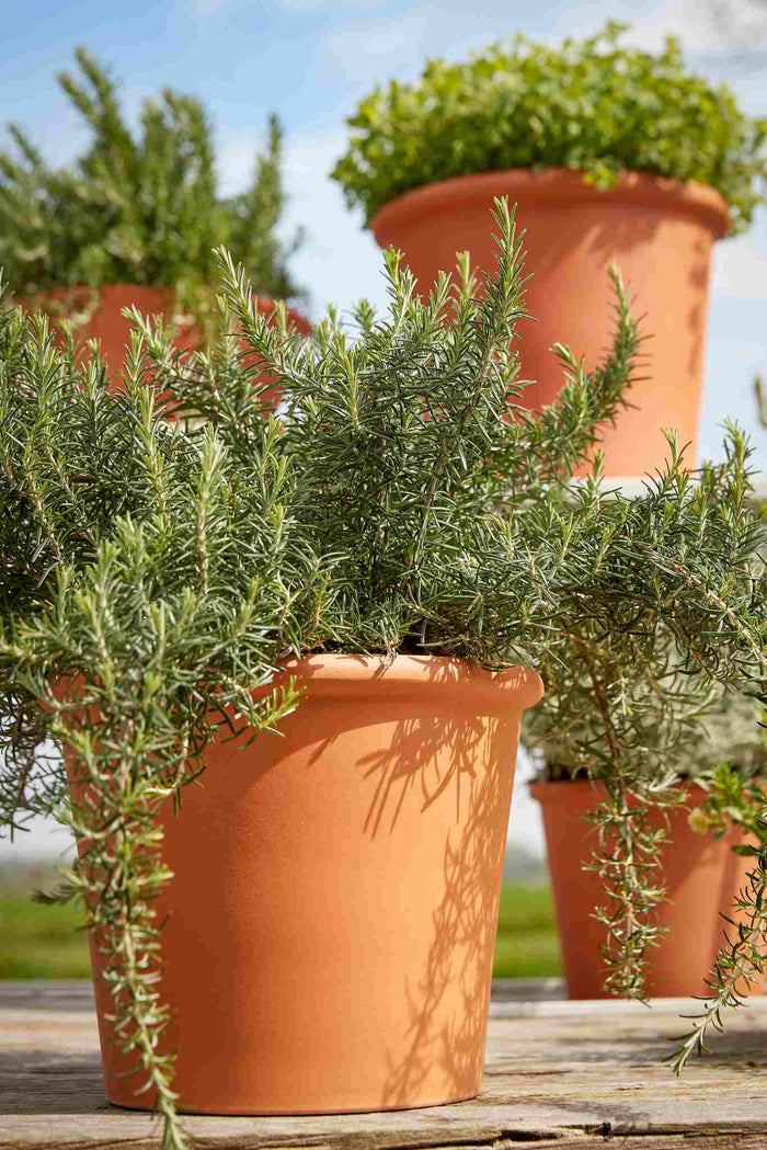 Mica Decorations Plantenbak Lua - 50x50x40.5 cm - Klei - Terracotta