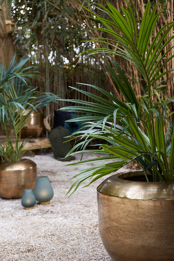 a119c243-3b45-47d0-8e2d-0aebf8d9b06e-sfeerbeeld.jpg (9075361)