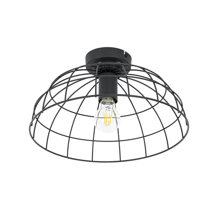 675d5719-b50d-447b-98de-797c15c3f0d3-afbeelding12.jpg (9087666)