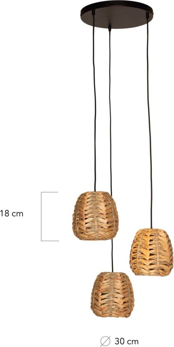 8c46c44a-3bf9-4d31-be86-8e42f2a26fe9-afbeelding3.jpg (9089818)