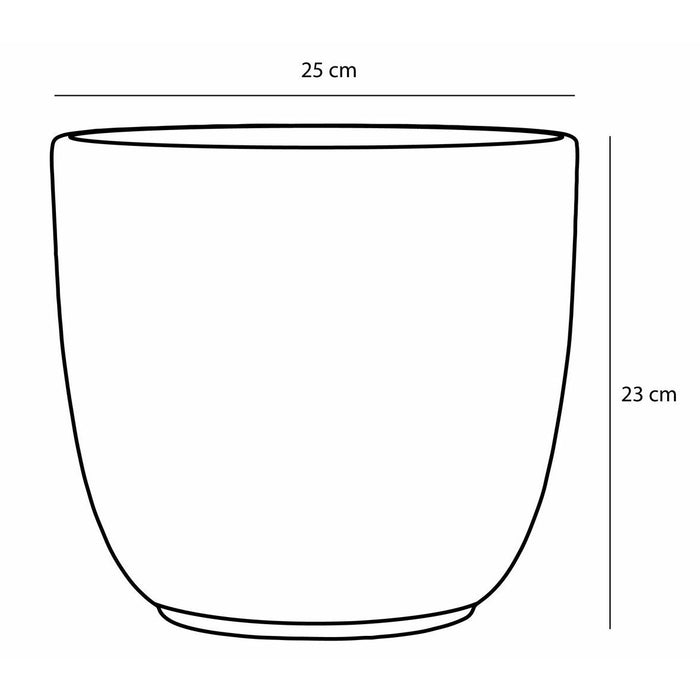 3c742e91-84d4-4034-b37a-fb8af46957ef-afbeelding3.jpg (9095162)