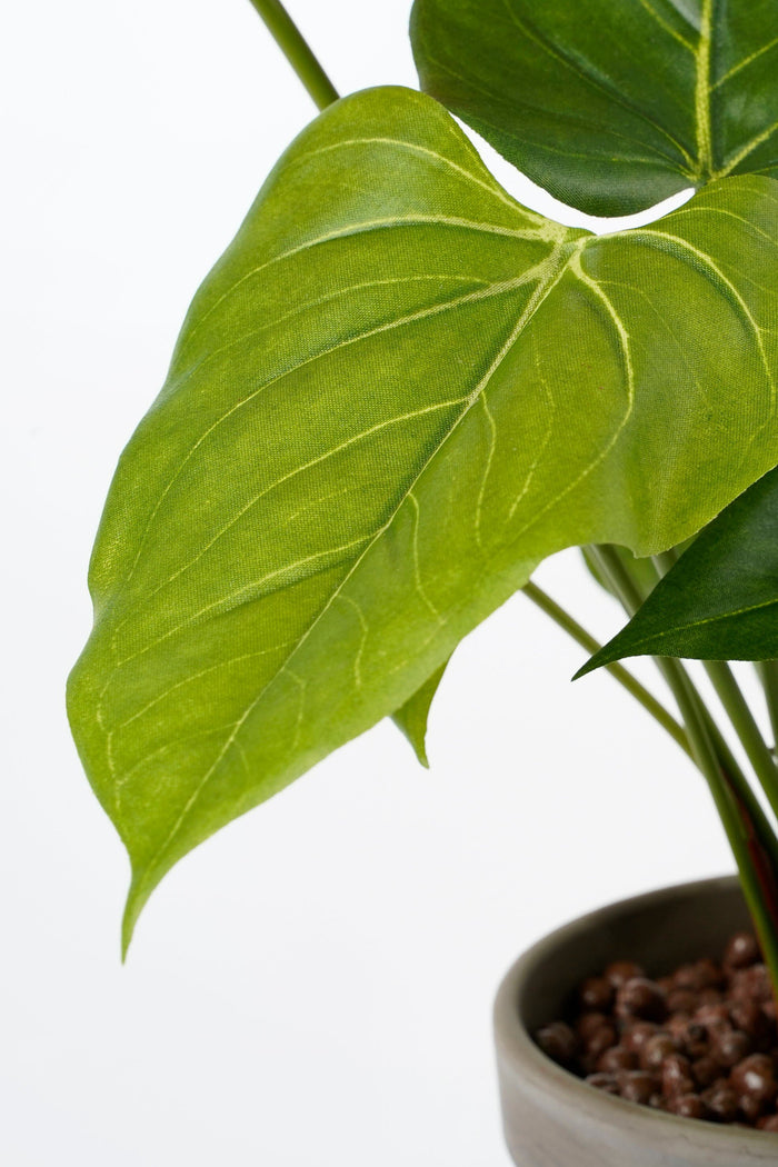 Mica Decorations Anthurium Kunstplant - H40 x Ø30 cm - Rood