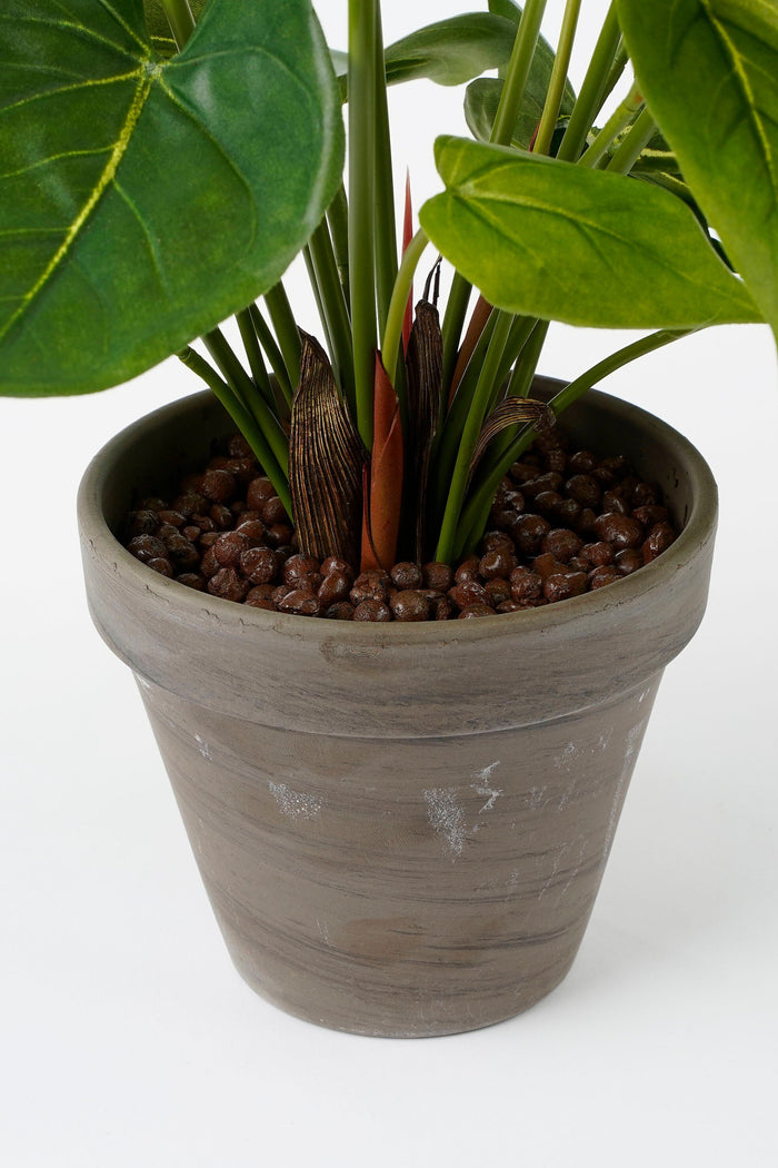 Mica Decorations Anthurium Kunstplant - H40 x Ø30 cm - Rood