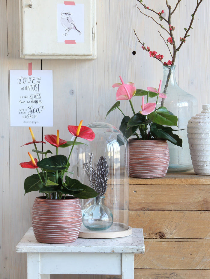 Mica Decorations Anthurium Kunstplant - H40 x Ø30 cm - Rood